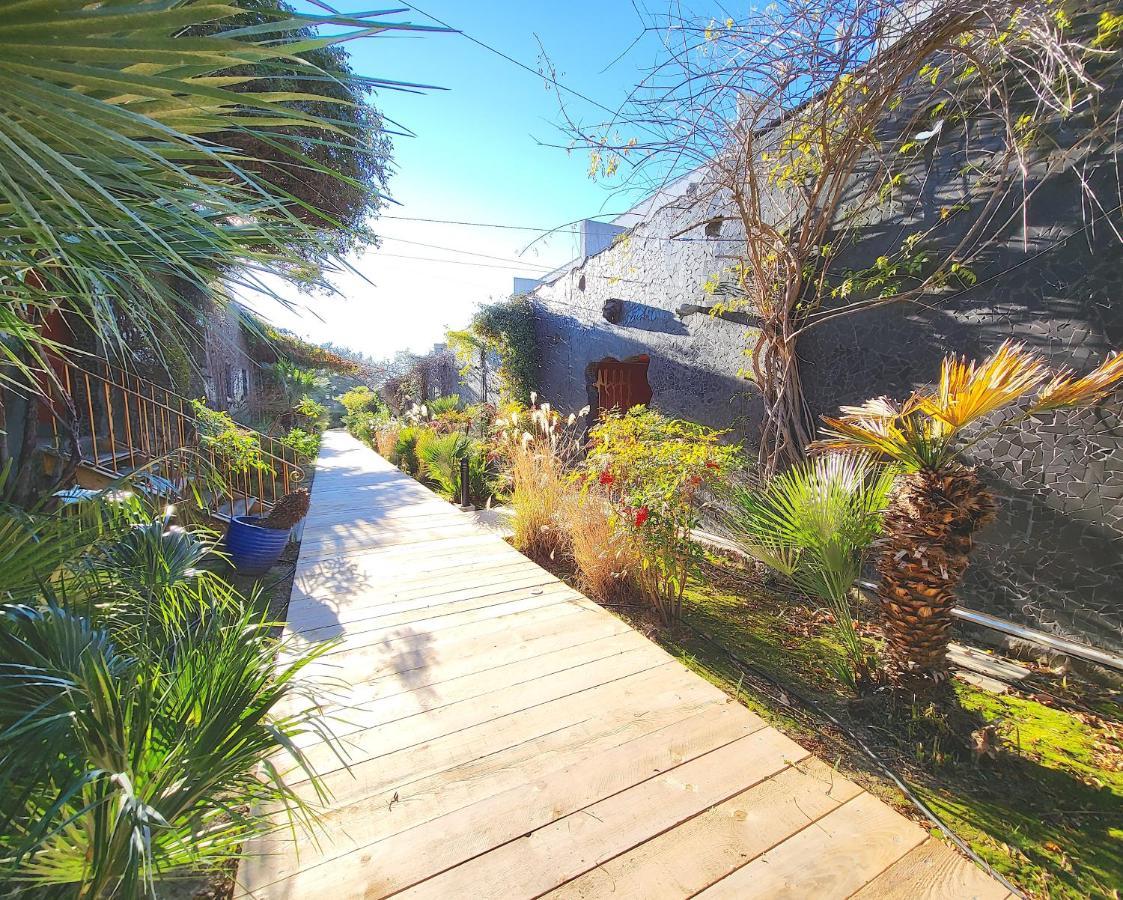 Bandol - Residence Premium Jardin, Piscine Et Garage Buitenkant foto